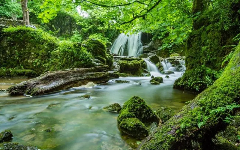 高端稳定性